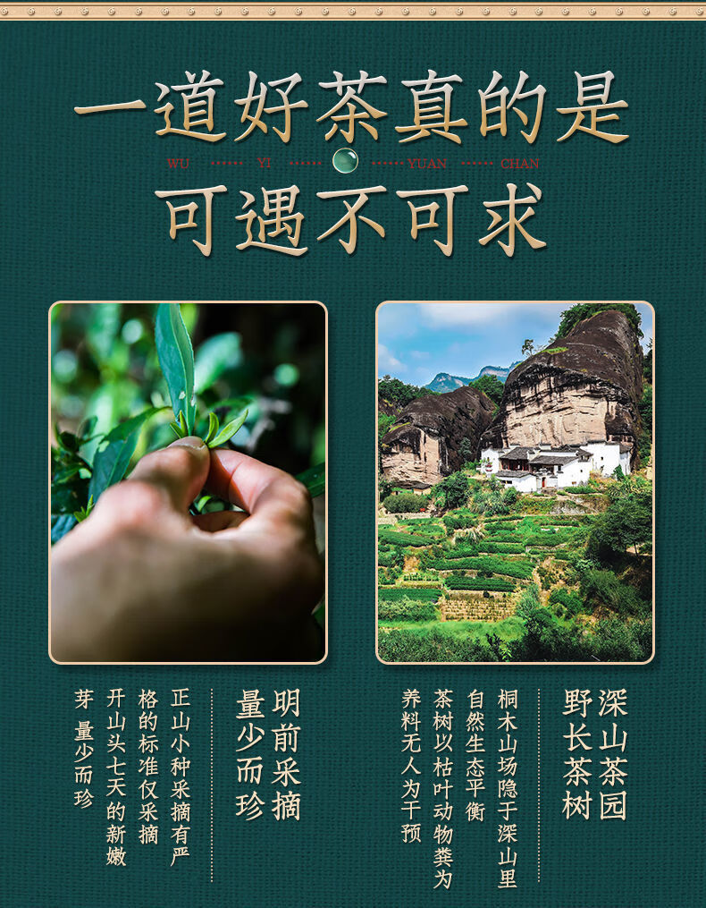 4盒100包2021新秋茶正山小种红茶正宗武夷山茶叶500g小袋装