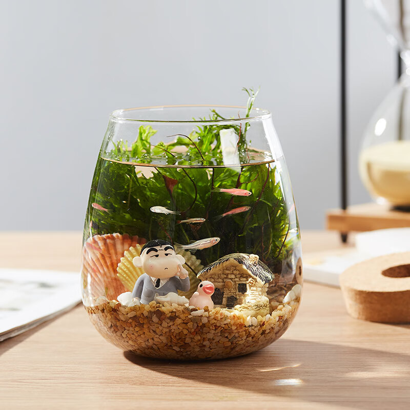 繁殖快的鱼生态瓶鱼微景观免换水diy办公桌面斗鱼小鱼虾造景鱼缸直柱