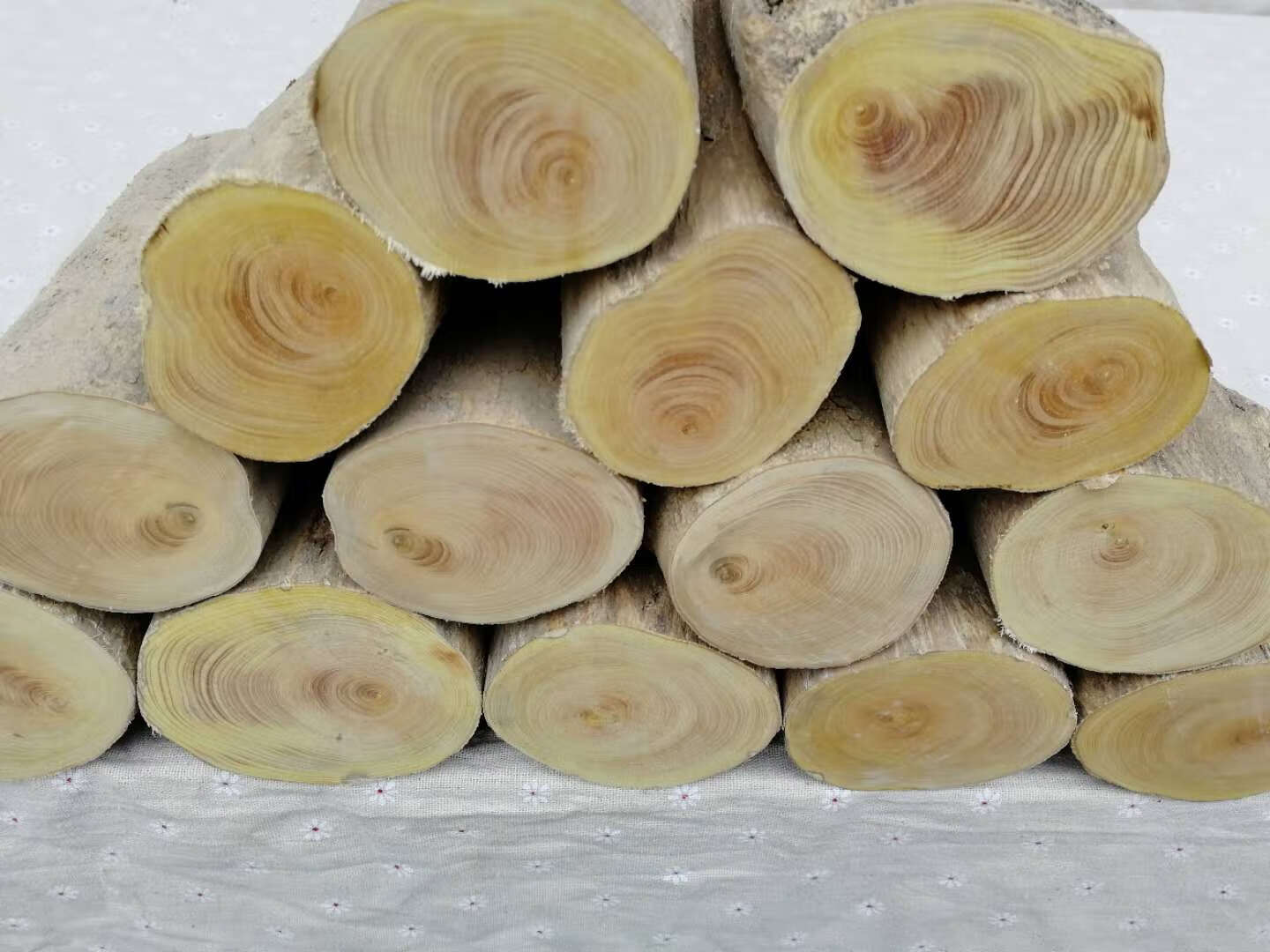 小叶黄杨木木料原木料高山印章料笔筒料雕刻练手料弹弓料黄杨木料