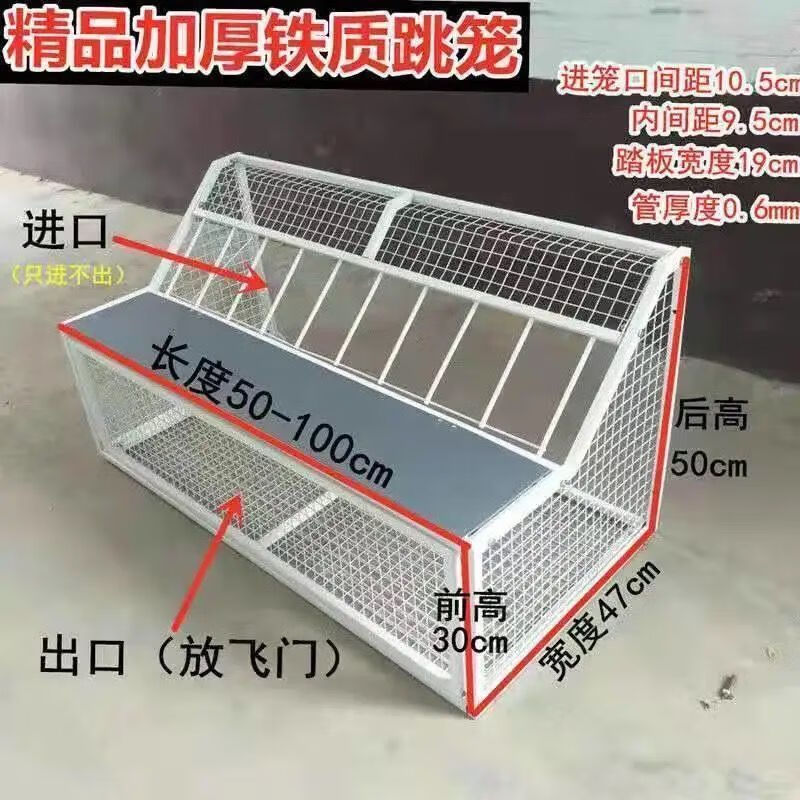 梦雷宠鸽子跳笼信鸽赛鸽用品用具鸽棚鸽舍进口只进不出跳笼放飞笼门