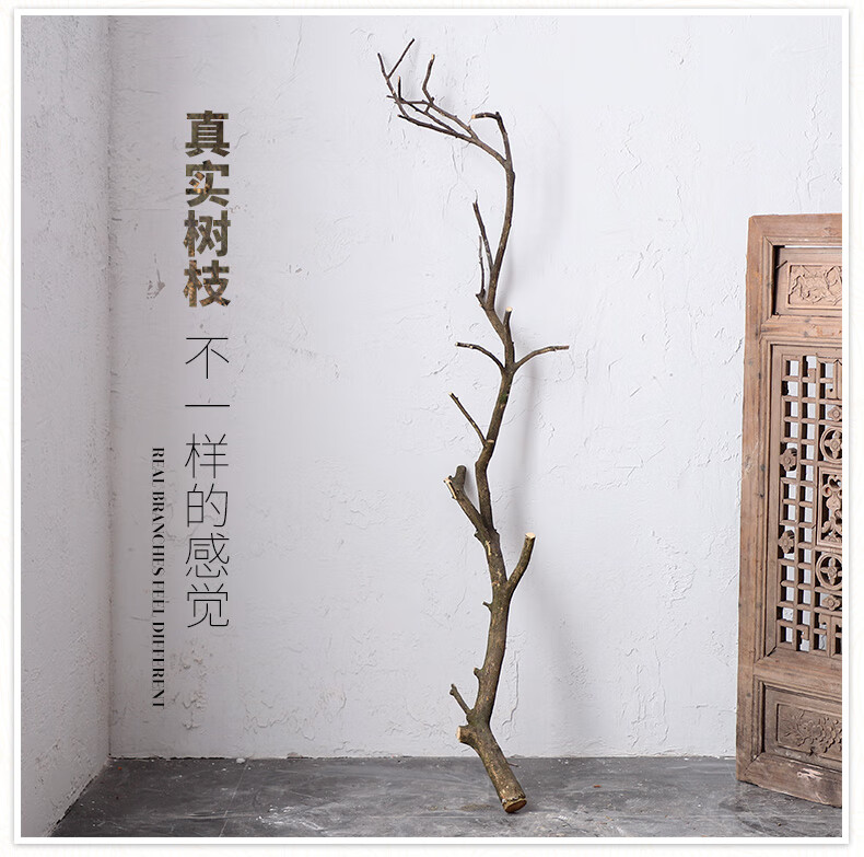 植物干花带皮枯枝树干客厅商场摆件橘子树造型树杈 带皮树枝【一支】