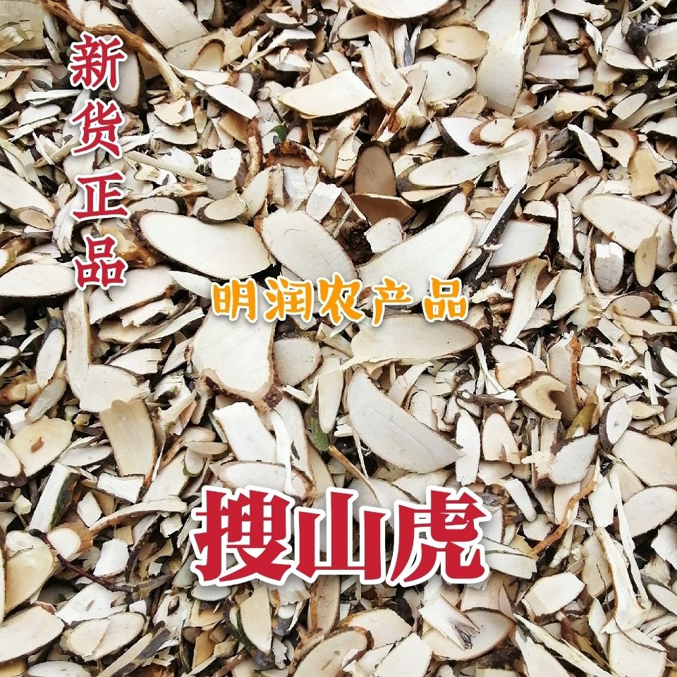 伟博搜山虎中药材新货500g