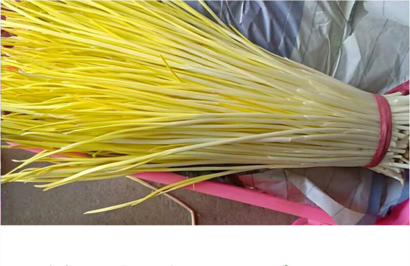 山东蒜黄新鲜时令青菜蔬菜蒜苗大蒜幼苗农家菜现割 1斤装【图片 价格