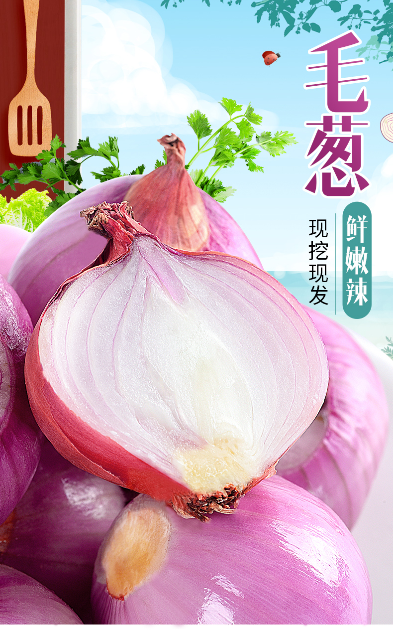 【顺丰】东北毛葱 东北小毛葱小红葱头 东北特产新鲜小葱头鬼子葱小