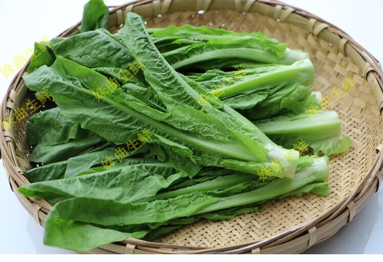 四川新鲜蔬菜窝笋尖凤尾莴笋叶3斤