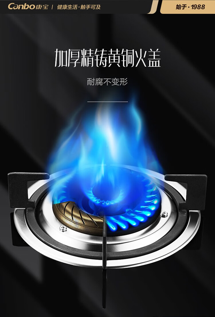 康宝(canbo)燃气灶双灶嵌入式家用煤气灶天然气灶具台嵌两用猛火节能