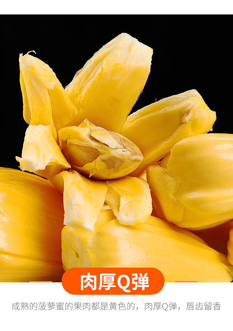 海南黄肉菠萝蜜新鲜水果40斤当季整箱三亚木波罗蜜一整个批发超值2025