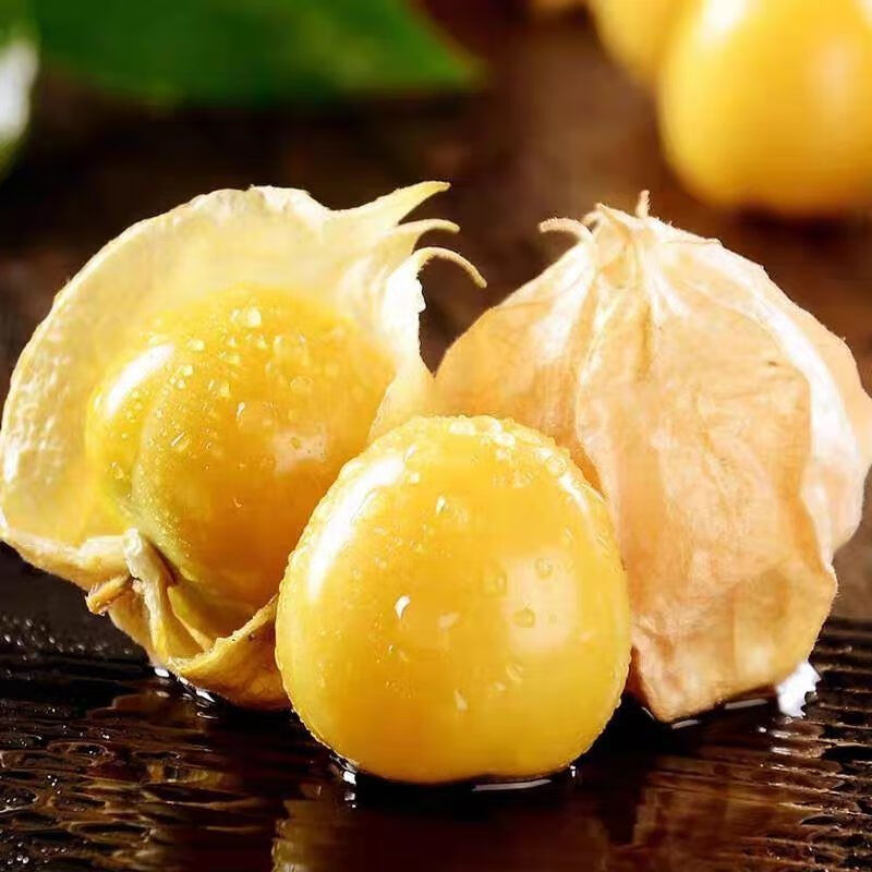 【精选生鲜】 东北菇娘果黄姑娘灯笼果洋菇娘甜菇娘果当季新鲜黄皮
