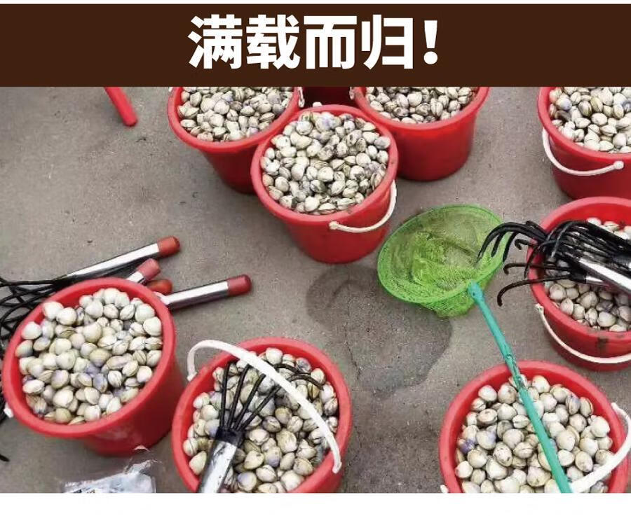 蛤蜊耙子沙滩挖贝壳海鲜蛏子赶海工具海蛎子园艺铲子种花挖土神器