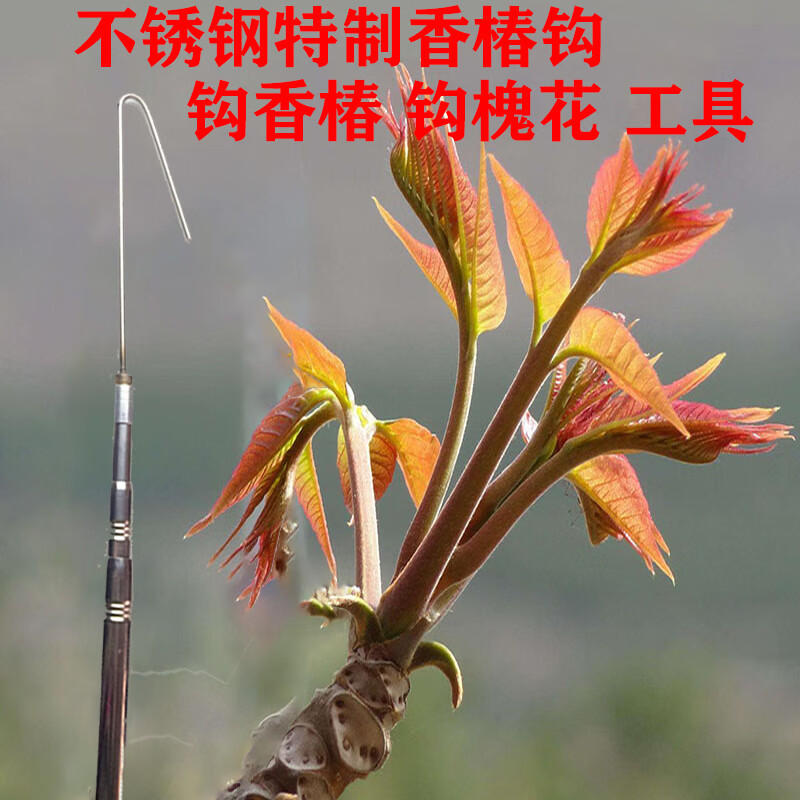 高空摘香椿槐花神器摘香椿槐米花工具高空伸缩不锈钢杆水果采摘器 7米