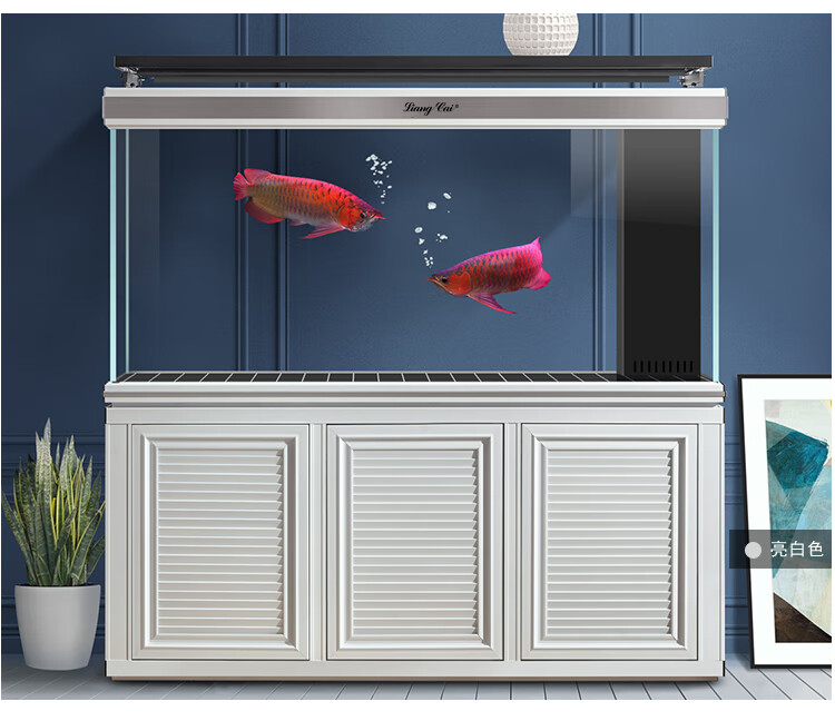 瑞龙大型高端龙鱼缸客厅智能家用落地金晶超白玻璃底滤生态免换水办公