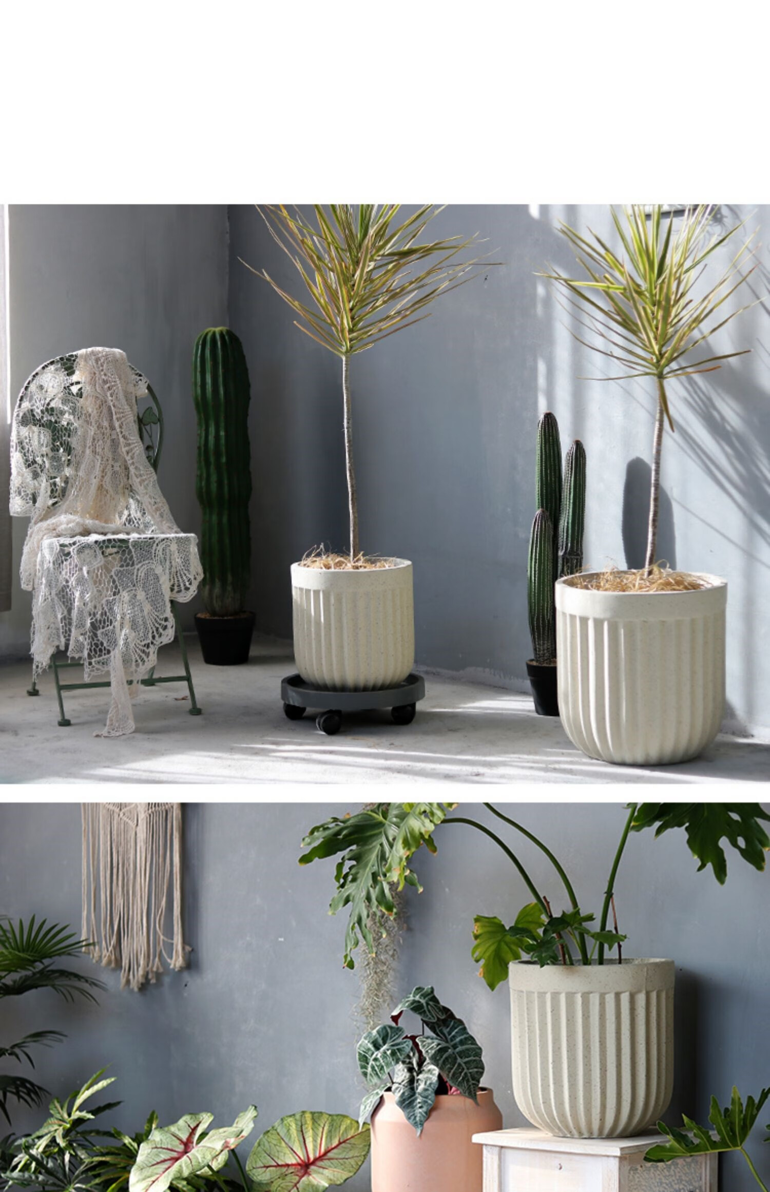 艺术花盆北欧氧化镁花盆简约现代创意圆形落地艺术盆客厅户外绿植盆栽