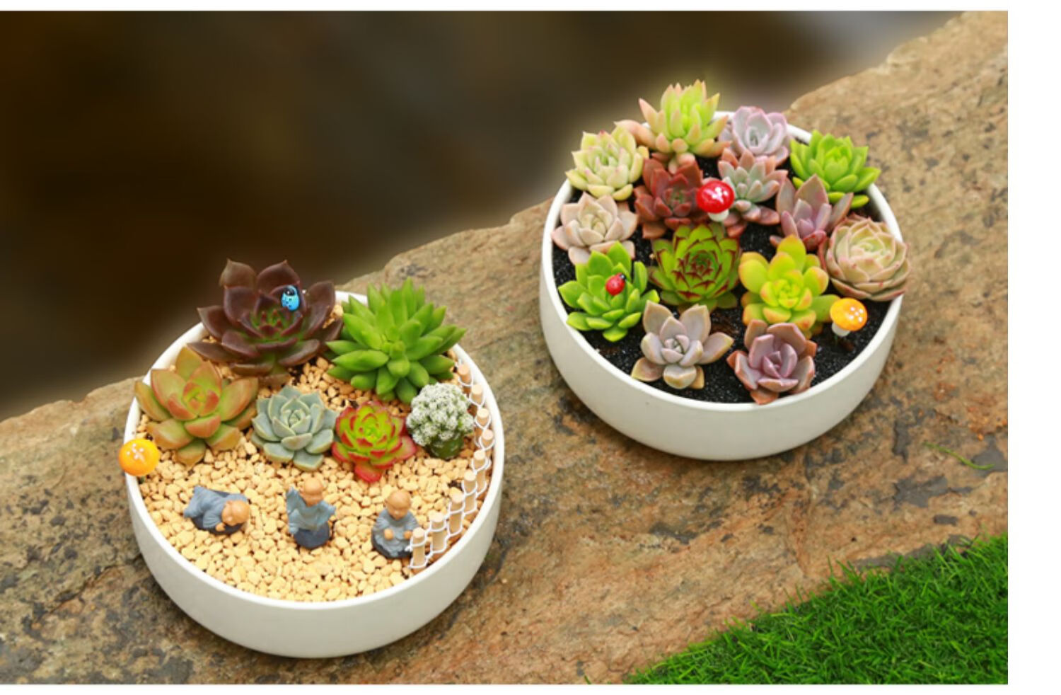 创意多肉微景观植物组合盆栽含陶瓷盆带土小盆景diy礼物摆件 龙猫垂钓