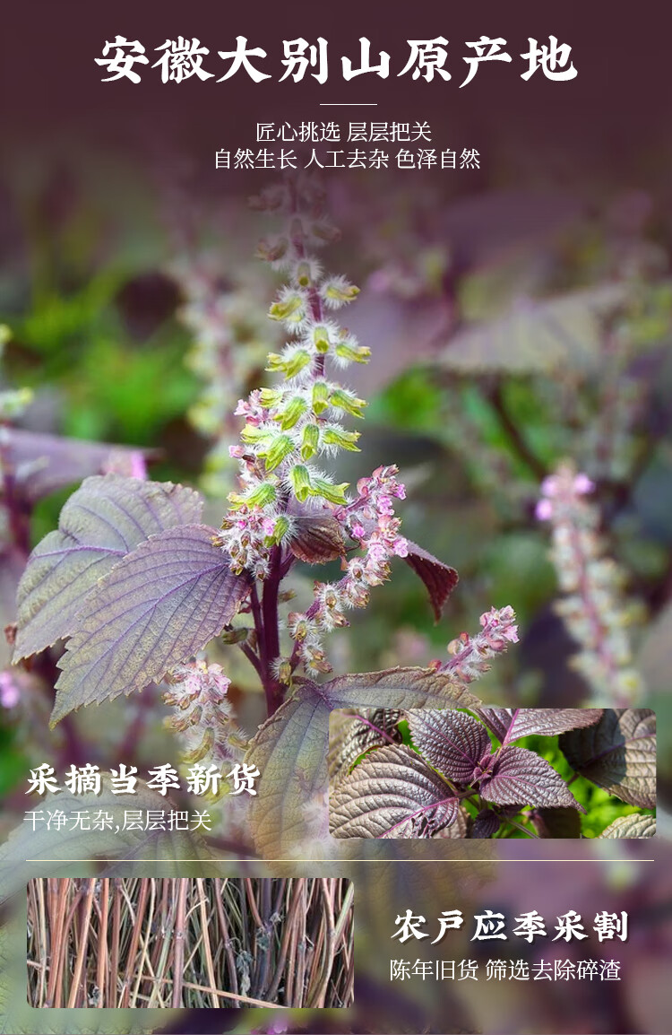 100克大别山野生紫苏梗 干紫苏梗 紫苏茎 紫苏杆 苏梗 中药材 梗 中