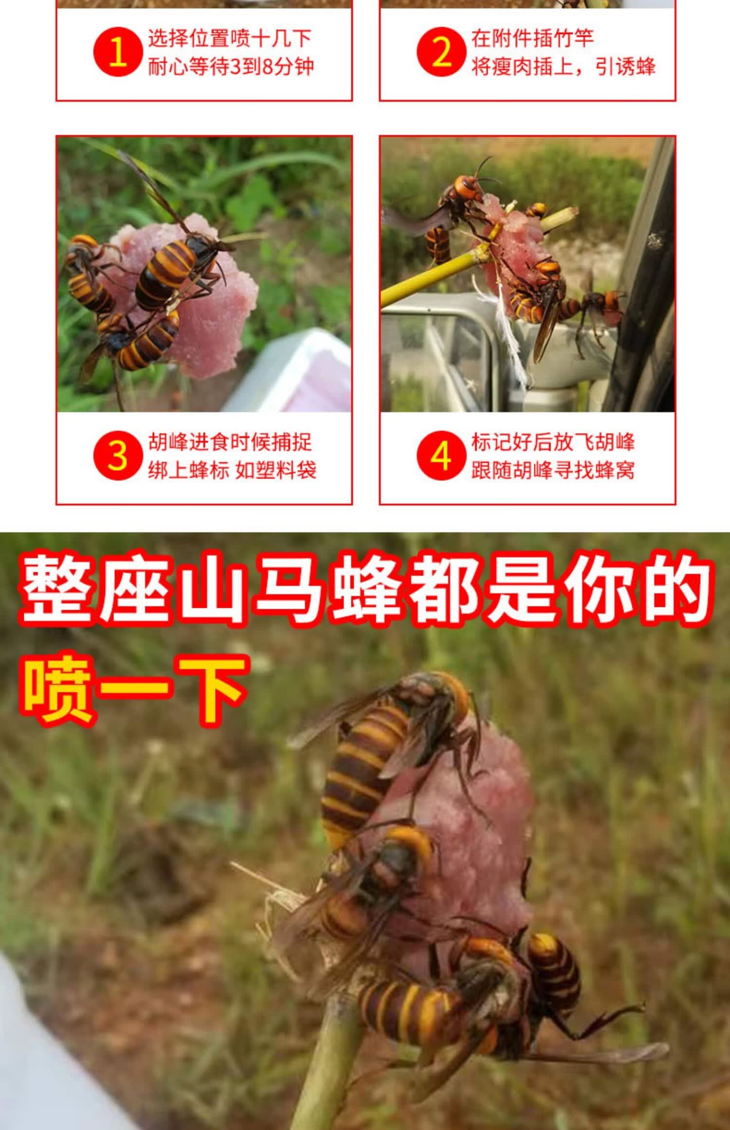 丰崟金环胡蜂诱蜂水马蜂诱蜂水红娘大黑蜂黑尾招蜂水诱蜂水500克100ml