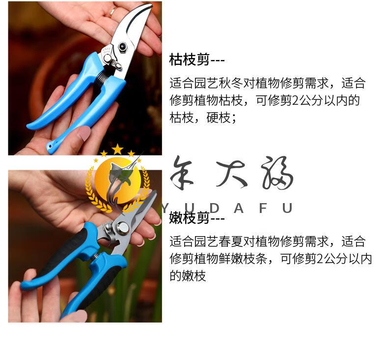盆景修剪工具盆景工具盆景修剪造型专用工具叶芽剪不锈钢兰花分苗剪刀