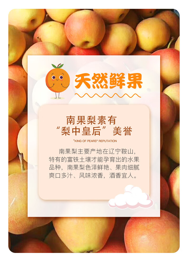 东北南果梨鞍山5斤礼盒装新鲜梨子现季水果南果梨大果整箱 5斤礼盒装