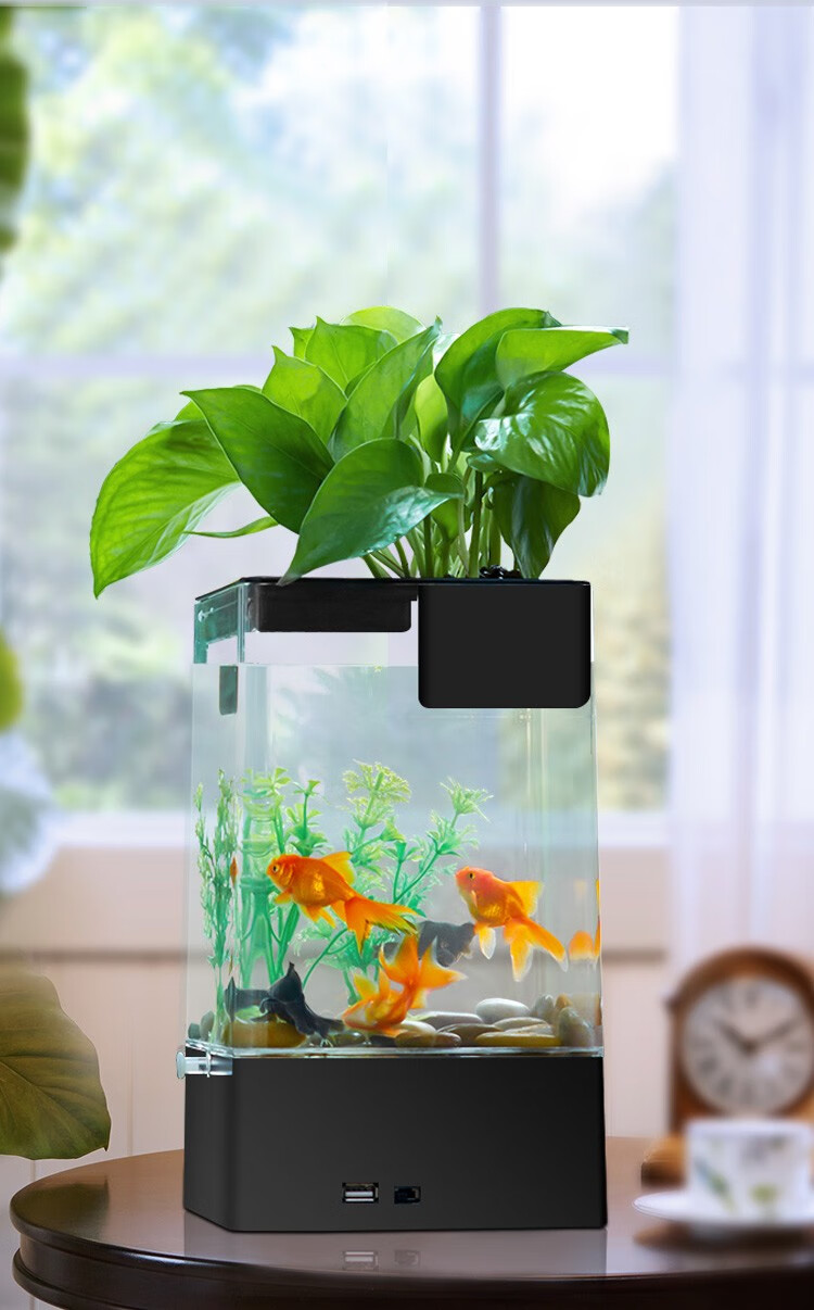 桌面客厅办公室生态金鱼缸生态瓶懒人鱼缸免换水中小型热带鱼缸亚克力