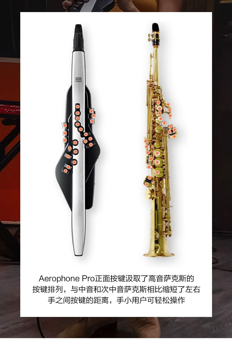 roland罗兰电吹管ae30初学者电萨克斯吹奏电子管笛葫芦丝乐器大全顺丰