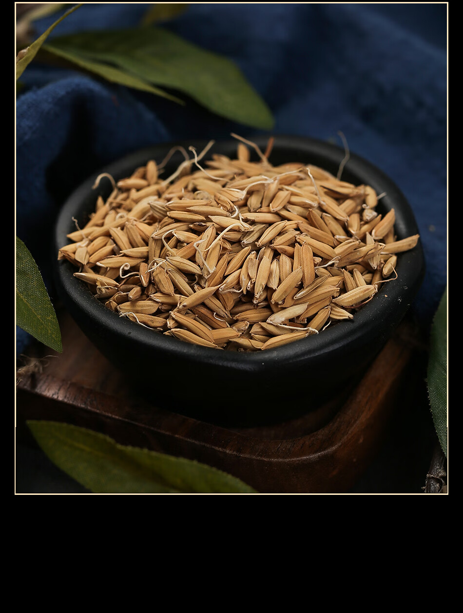 同仁堂中药材稻芽茶熟麦芽有生麦芽茶谷芽稻芽无硫炒麦芽【图片 价格