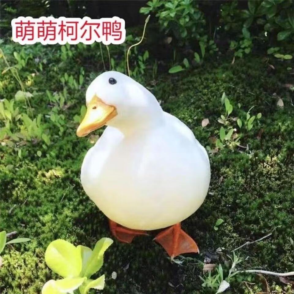 高级鸭粮食【图片 价格 品牌 报价】-京东