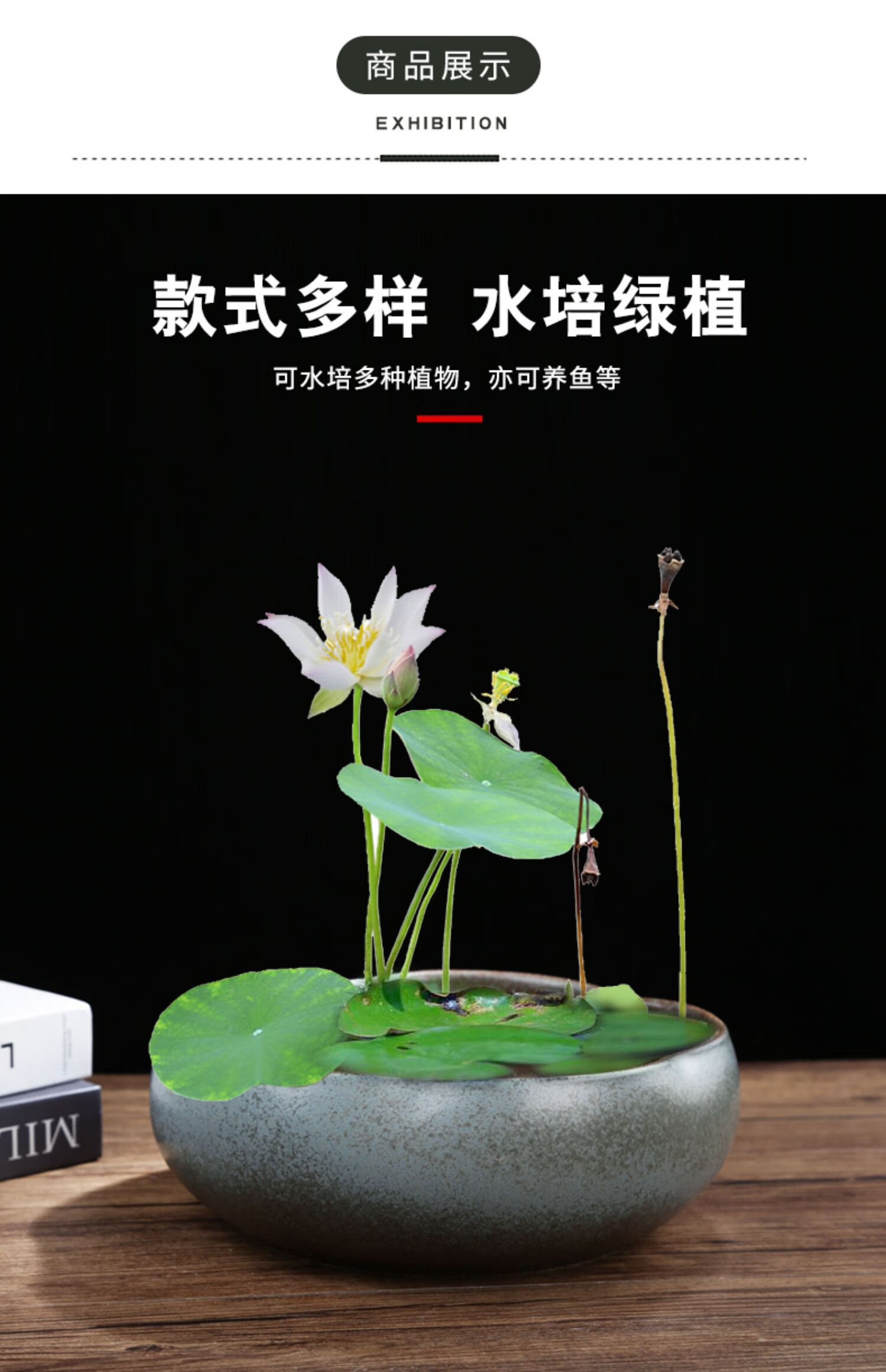 水仙花花盆陶瓷铜钱草水培睡莲一叶莲碗莲金钱草水养专用盆缸无孔