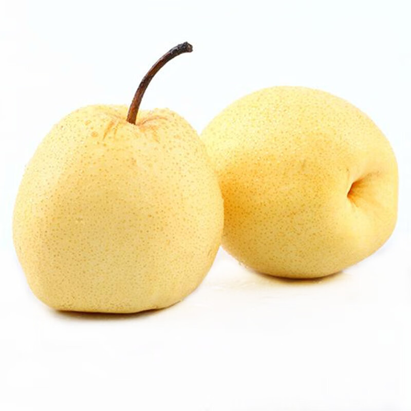 速运陕西正宗蒲城酥梨新鲜水果一级精品贡梨脆甜雪梨香梨10斤梨子中果
