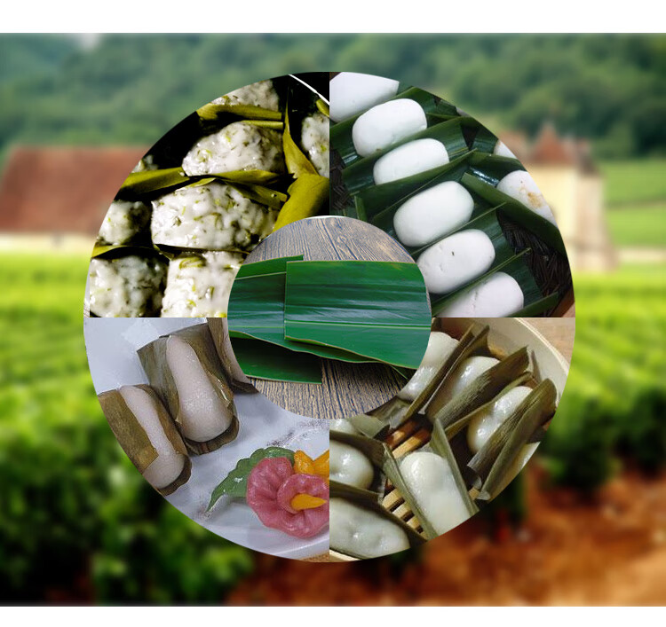 益君健叶儿粑叶子 新鲜鸭儿粑叶子猪儿粑叶儿粑四川宜宾特产20个精选