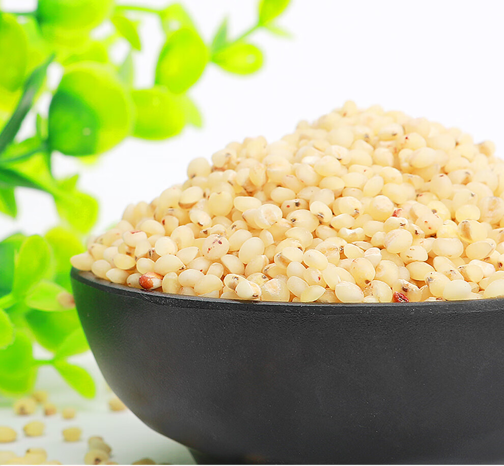 高粱米 500g 五谷杂粮 陕西农家吃的小米粥 粗粮食农家米杂粮粥 高粱
