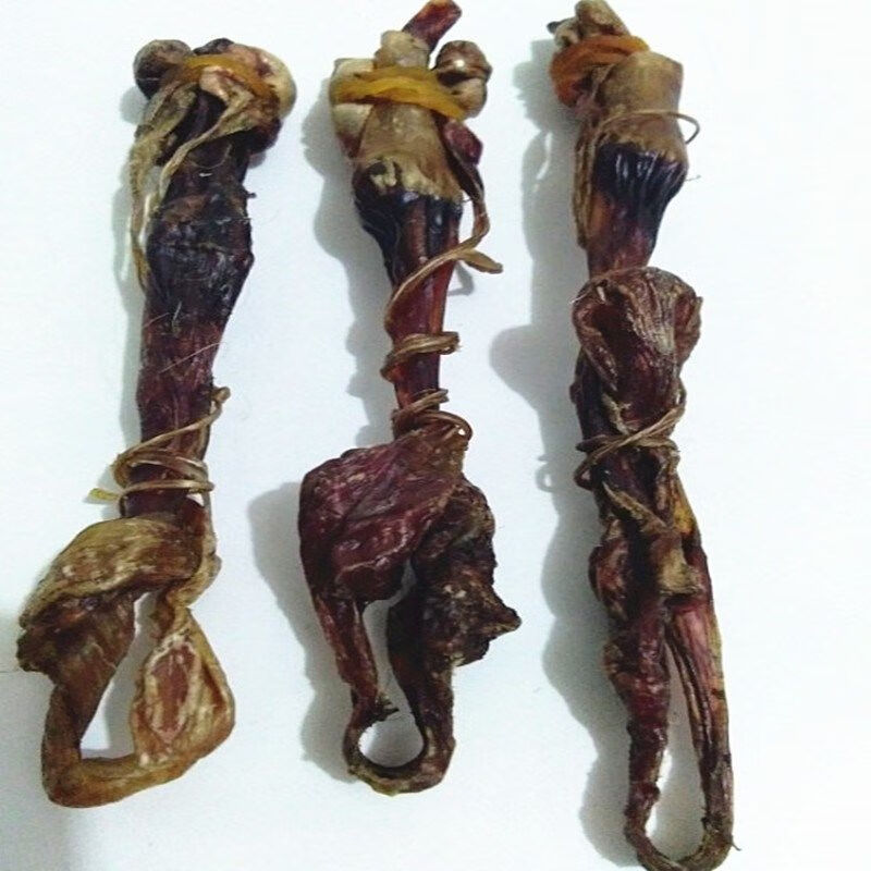 狗鞭 狗 泡酒鞭海中材泡酒料男性滋补酒煲汤大条黄狗鞭 大海狗鞭一条