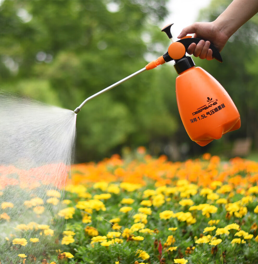 浇花洒水壶园艺小型喷雾器手动家用喷水壶工具小喷壶2升高压农药喷洒