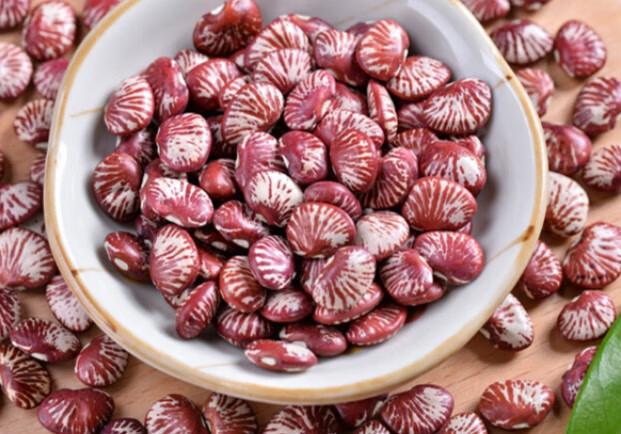 云南斑马豆大腰豆5斤农家自产花芸豆皇帝豆大肾豆饭豆扁豆紫芸豆2500g