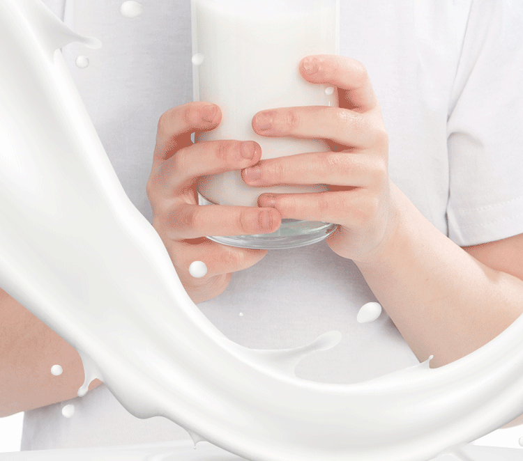 伊利 金典纯牛奶梦幻盖250ml*10盒\箱 3.8g乳蛋白 金典纯牛奶梦幻盖*1箱
