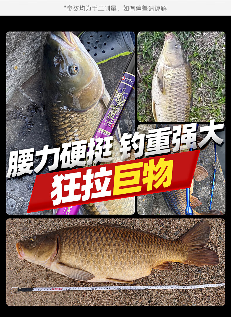 贝恩驰(beienchi)2022新款潜龙在渊鱼竿匠氏钓超轻超硬鲤鲫进口碳素