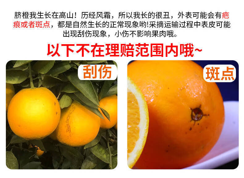 四川橙子高山金堂脐橙水果批发当季薄皮非爱媛果冻橙江西赣南秭归共5