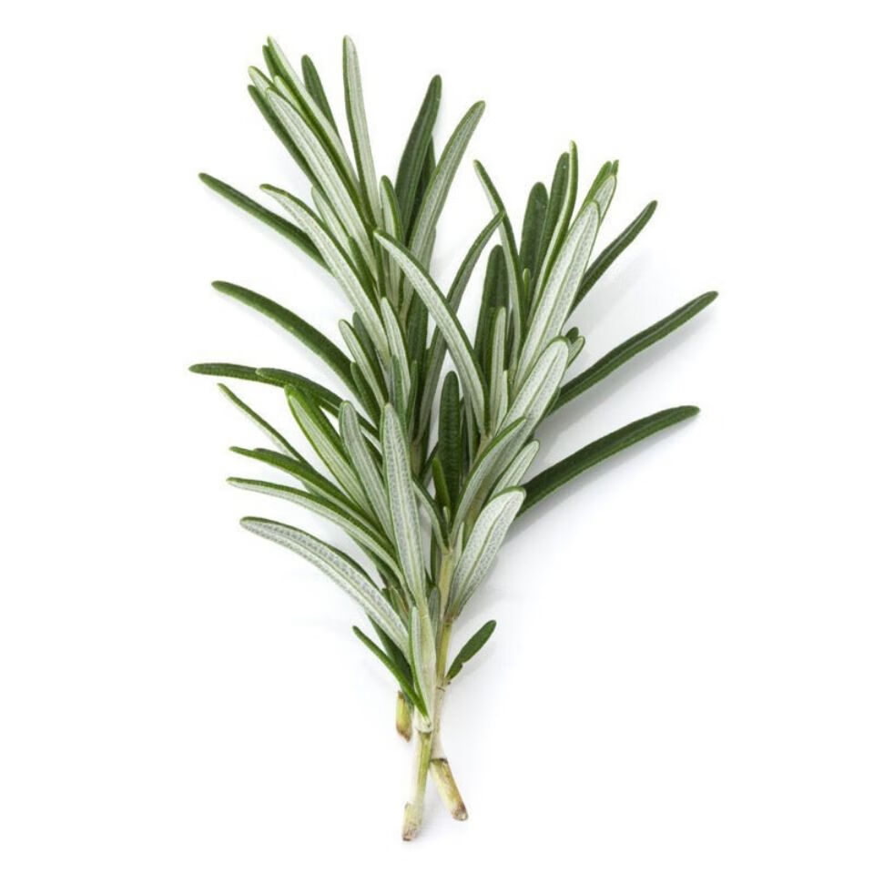 迷迭香新鲜枝条西餐牛排冷饮蛋糕点装饰可食用香草料 双拼:薄荷清香木