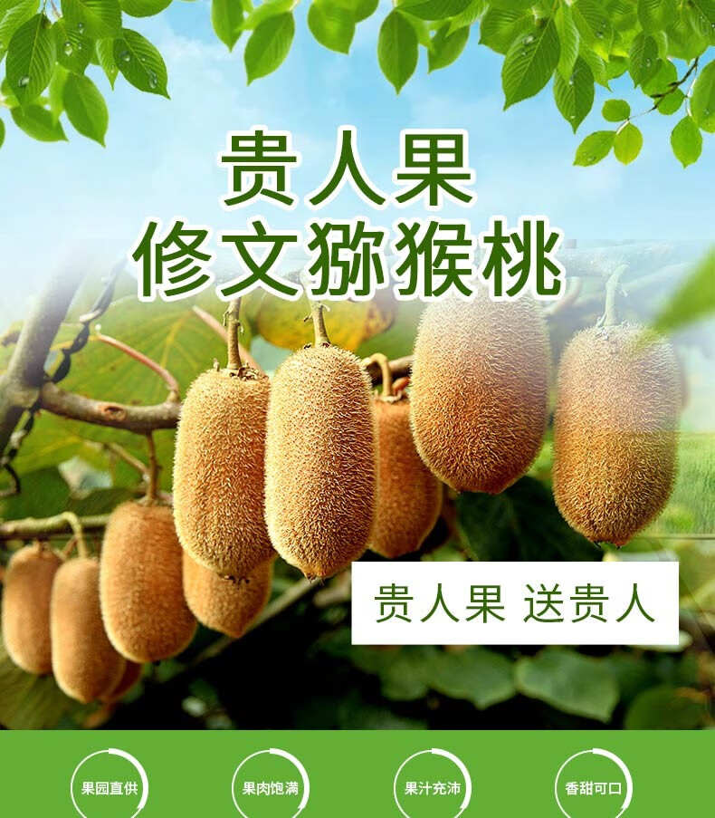 贵州修文猕猴桃贵州贵人果奇异果甜蜜多汁礼盒装生态自然成果香甜果肉