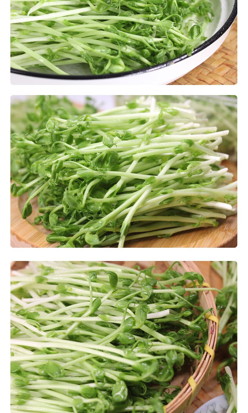 媚调 新鲜蔬菜豌豆苗 碗豆尖豌 豆苗菜 500克【图片 价格 品牌 报价】