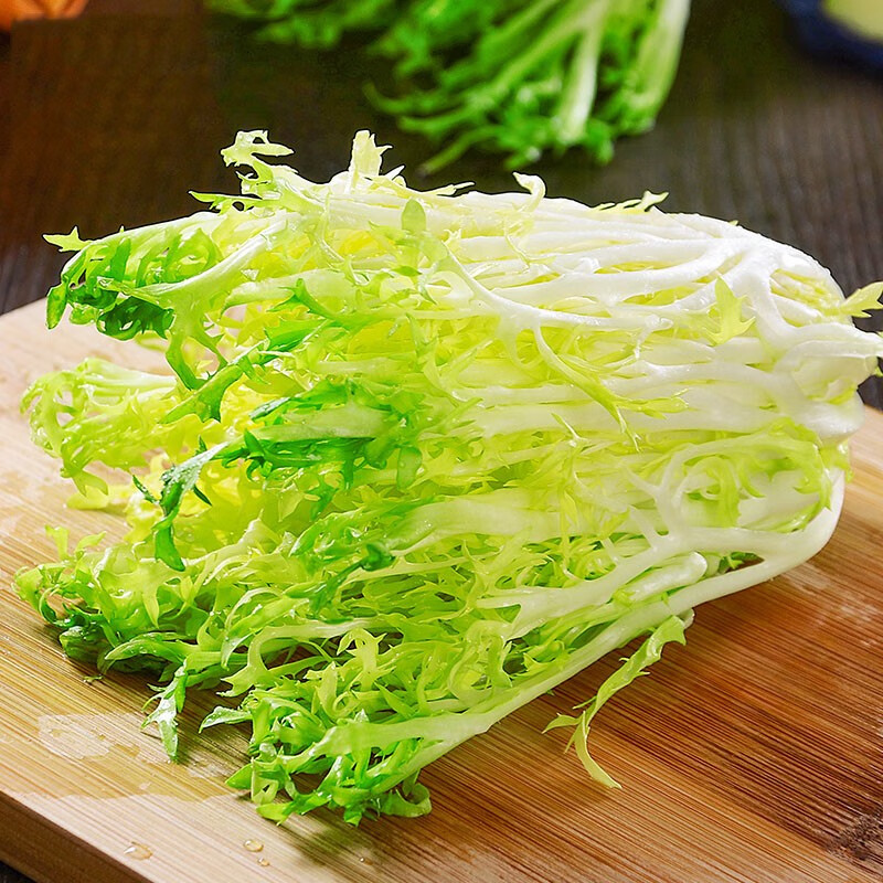 新鲜黄心苦菊苦细叶生菜 新鲜苦苣九芽狗牙菜苦细叶生吃蔬菜沙拉西餐