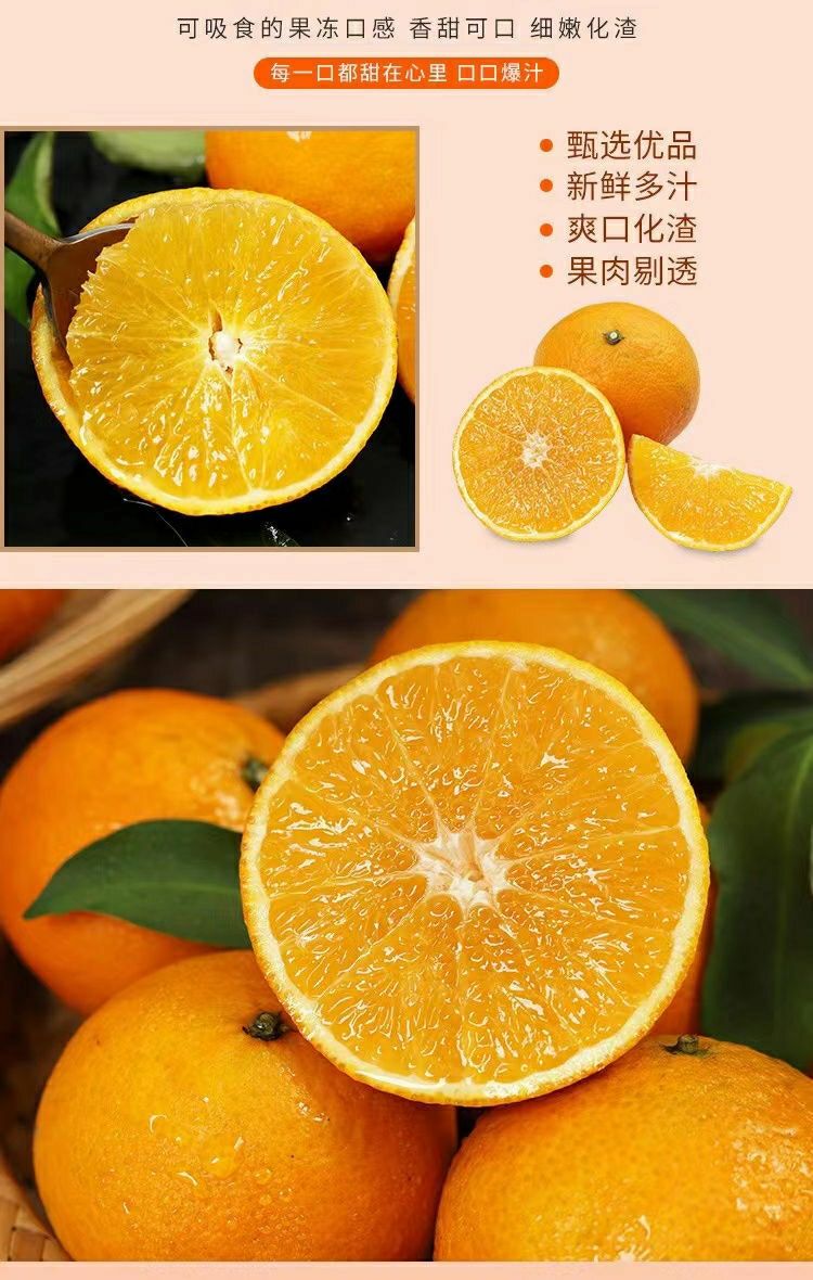 青见和春见哪种好吃(青见和春见有什么区别)