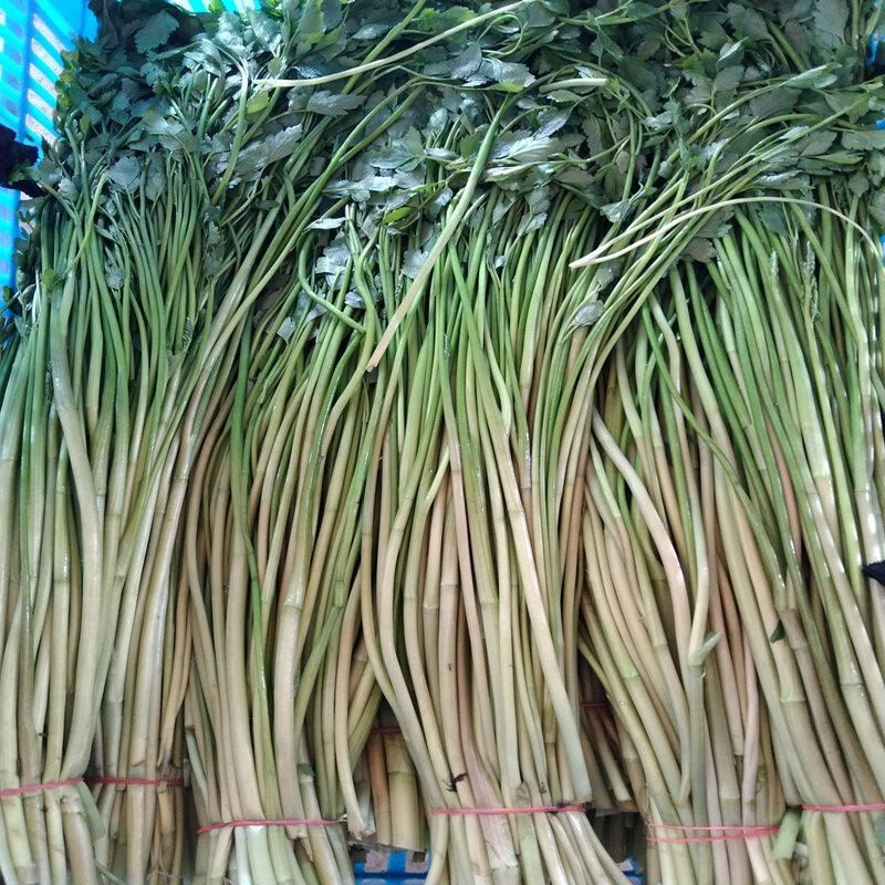 水芹菜新鲜空心芹菜野芹菜凉拌时令品质蔬菜榨汁价净菜3斤7两去根带叶