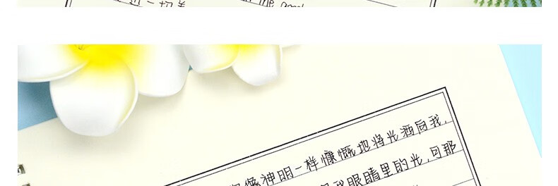 字体漂亮练字帖楷书行楷行书成年男硬笔书法练字本临摹网红钢笔速成