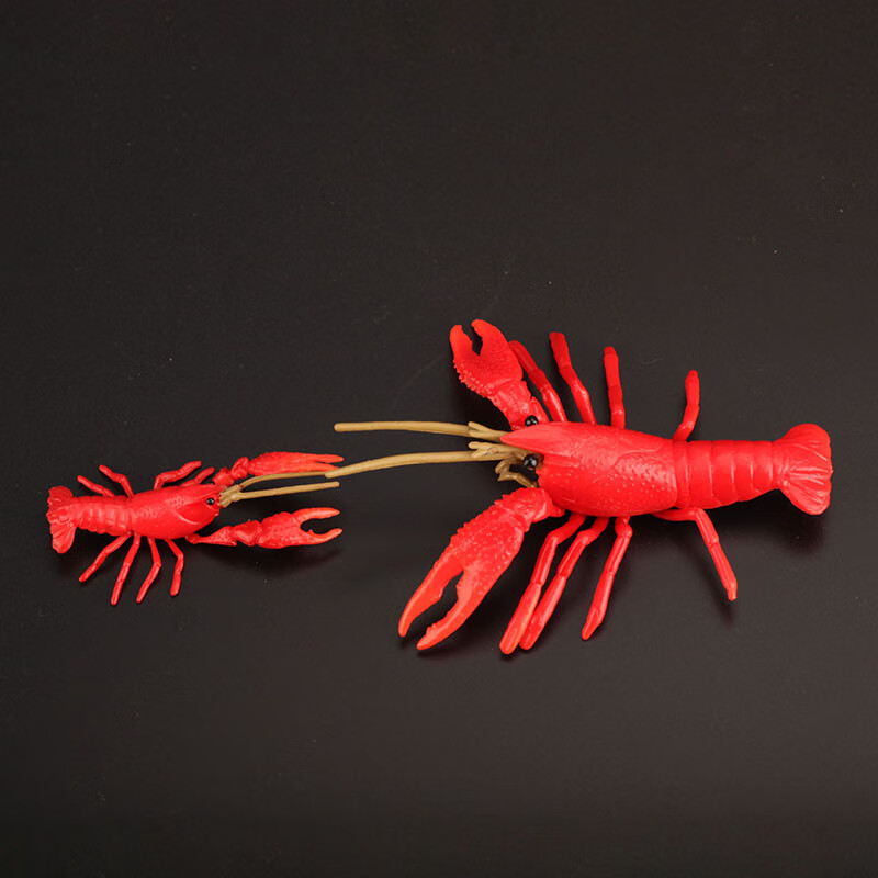 童德小龙虾海洋动物模型玩具儿童男孩女孩礼物认知水族馆纪念 小龙虾(
