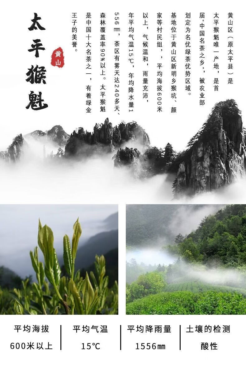 手工捏尖安徽原产猴魁黄山绿茶1915云雾茶礼盒装 手工捏尖礼盒200g