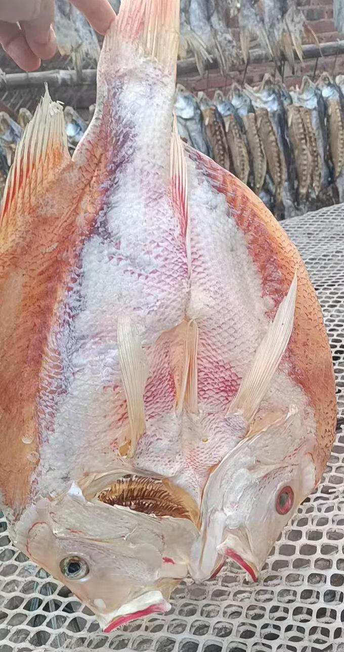 海南红鱼干 湛江产深海大红鱼干自晒咸鱼干红立鱼海南红鱼送礼海鲜