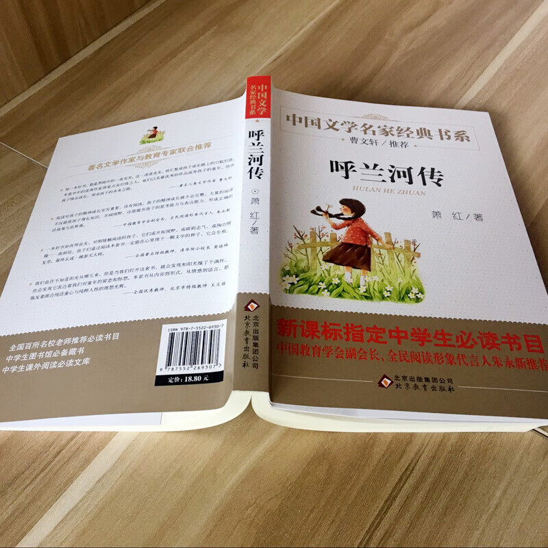 呼蘭河傳 蕭紅著 精美插圖 曹文軒推薦兒童文學經典書系 三四五六年級