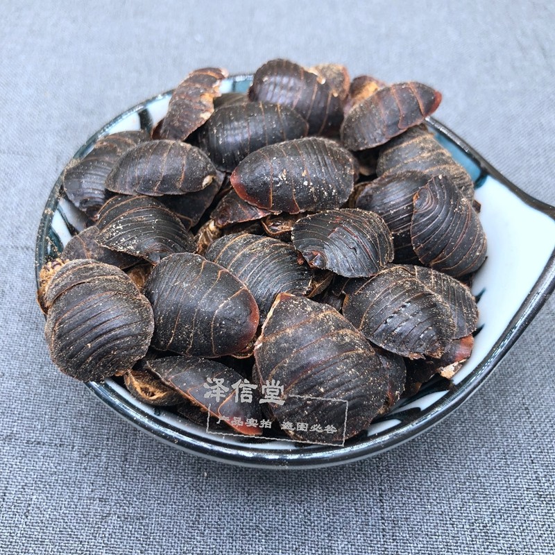 土元养殖业的新趋势