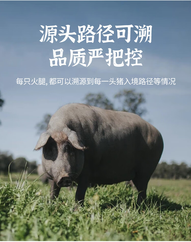 西班牙火腿整只伊比利亚黑猪整腿红标黑标48个月后腿生吃即食黑猪后腿