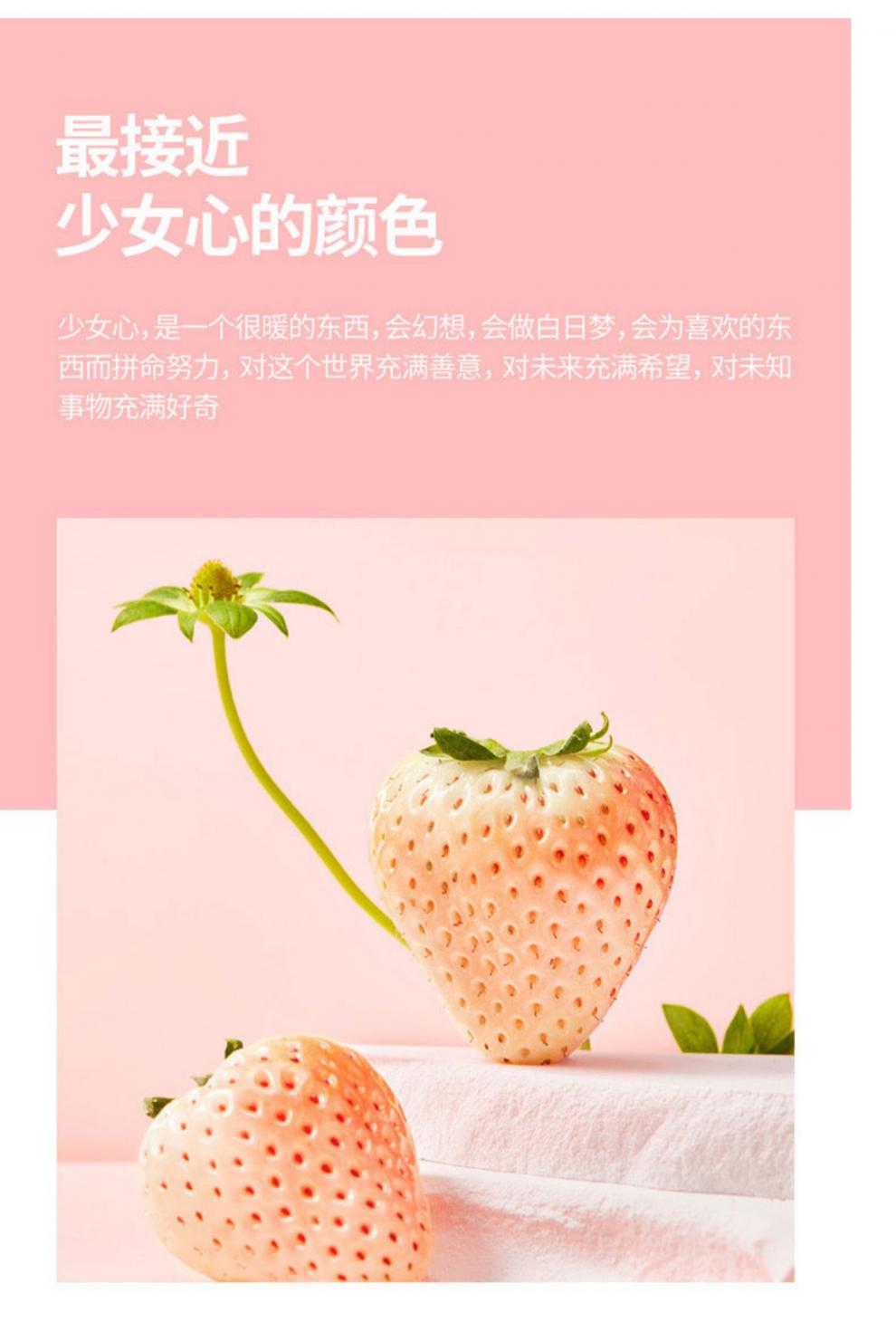 imeimax丹东淡雪草莓网红日本白雪公主粉色草莓送女朋友情人礼盒装