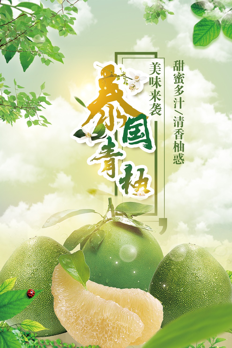 舒楠鲜生泰国青柚进口大果青皮白肉蜜柚子新鲜水果生鲜泰国青柚2个装